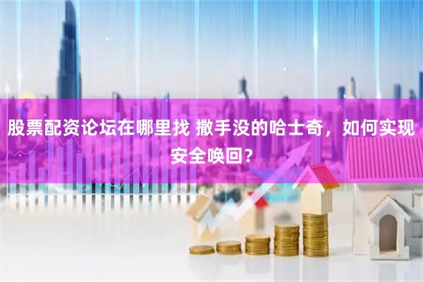 股票配资论坛在哪里找 撒手没的哈士奇，如何实现安全唤回？